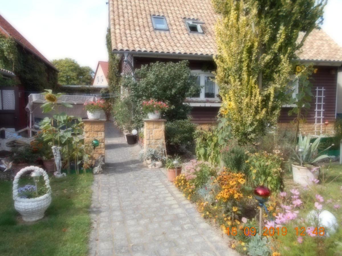 Vermiete Sehr Schoenes Apartment In Dankerode Im Harz Exterior photo